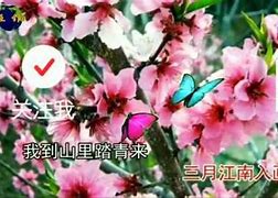 6月份桃花运旺盛