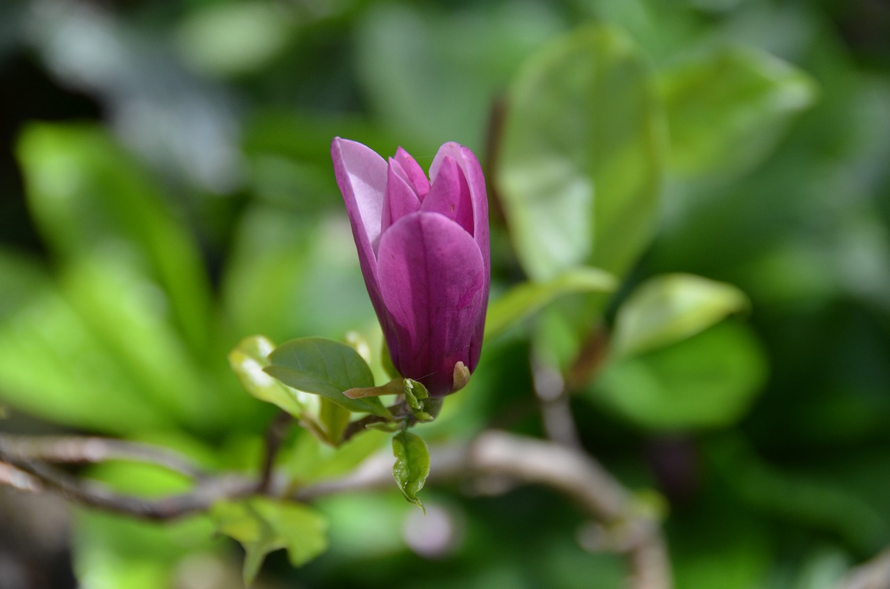 清明时节话幽思，解锁古代节气中的文化深意