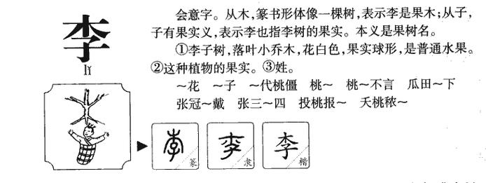 具字的组词有什么