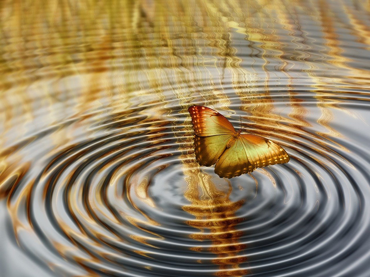 周易智慧，朝朝暮暮的深远含义与人生哲学